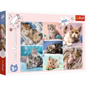 ND39_484726 PUZZLE 100EL W KOCIM SWIECIE TREFL PUD