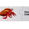 ND24_7808 Puzzle Edukacyjne Układanka Świat Oceanów 10 Połączeń  5903802453997 - obrazek 7