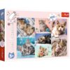 ND39_484726 PUZZLE 100EL W KOCIM SWIECIE TREFL PUD - obrazek 2