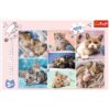 ND39_484726 PUZZLE 100EL W KOCIM SWIECIE TREFL PUD - obrazek 4